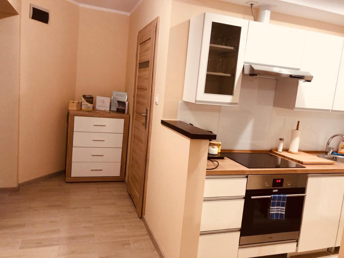 Apartamenty Alicja Dzierżoniów Εξωτερικό φωτογραφία